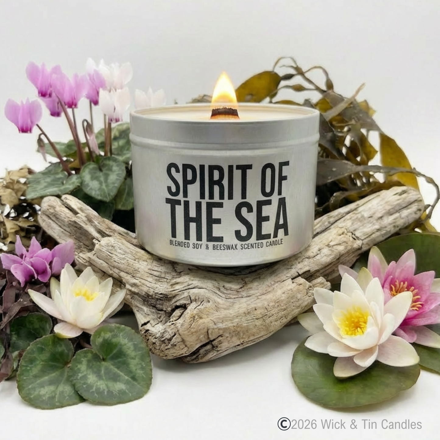 SPIRIT OF THE SEA